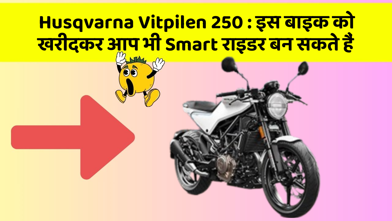 Husqvarna Vitpilen 250: इस बाइक को खरीदकर आप भी Smart राइडर बन सकते हैं